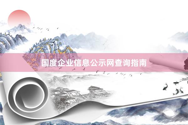 国度企业信息公示网查询指南